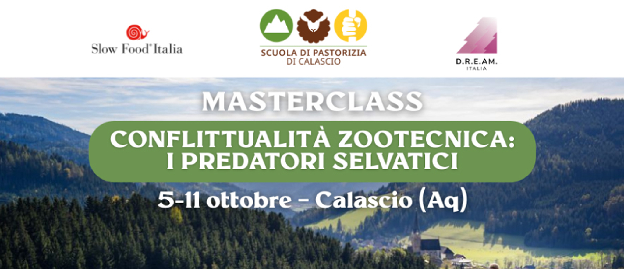 Un poster di una masterclass con un'ampia inquadratura di un pascolo verde brillante. In primo piano, un gregge di pecore pascola, e un pastore è visibile tra di esse. Sullo sfondo, un pittoresco villaggio si annida in una valle, circondato da lussureggianti montagne boscose sotto un cielo luminoso. Il testo centrale recita "MASTERCLASS CONFLITTUALITÀ ZOOTECNICA: I PREDATORI SELVATICI" e "5-11 ottobre - Calascio (Aq)". In alto a sinistra è presente il logo Slow Food Italia; in alto a destra, D.R.E.A.M. Italia. Al centro in alto figura il logo "Scuola di Pastorizia di Calascio". In basso al centro c'è un pulsante "Iscriviti ora su slowfood.it". Il piè di pagina include i loghi per i finanziamenti UE, il Ministero della Cultura, Italiadomani, il Comune di Calascio e Rocca Calascio.