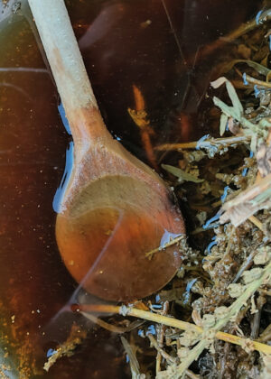 Vista dall'alto di una grande bacinella o tinozza di metallo riempita con un liquido scuro, dal colore ambrato o marrone-rossastro. Nel liquido sono immerse abbondanti quantità di erbe essiccate o rametti, suggerendo un processo di tintura naturale o di preparazione di infusi per fibre. Un cucchiaio di legno è parzialmente immerso nel liquido. Sulla sinistra, si intravede un setaccio metallico, indicando una fase di separazione.