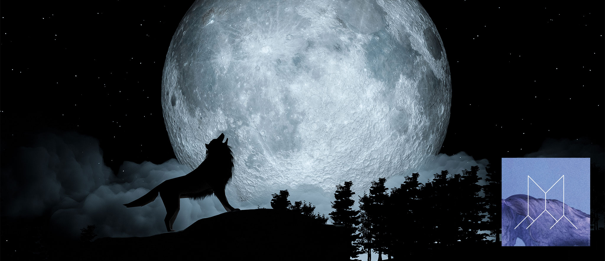 Un'immagine suggestiva e fotorealistica di un lupo nero in silhouette che ulula, in piedi su un piccolo promontorio roccioso. È rivolto verso una luna piena estremamente grande e dettagliata che domina il centro dell'immagine, illuminando leggermente l'ambiente. Il cielo è di un nero profondo con innumerevoli piccole stelle bianche e alcune nuvole sottili e trasparenti intorno alla luna. In primo piano, una linea di alberi di pino scuri crea un profilo. Nell'angolo in basso a destra è visibile il piccolo logo quadrato con una 'M' stilizzata su sfondo montano.