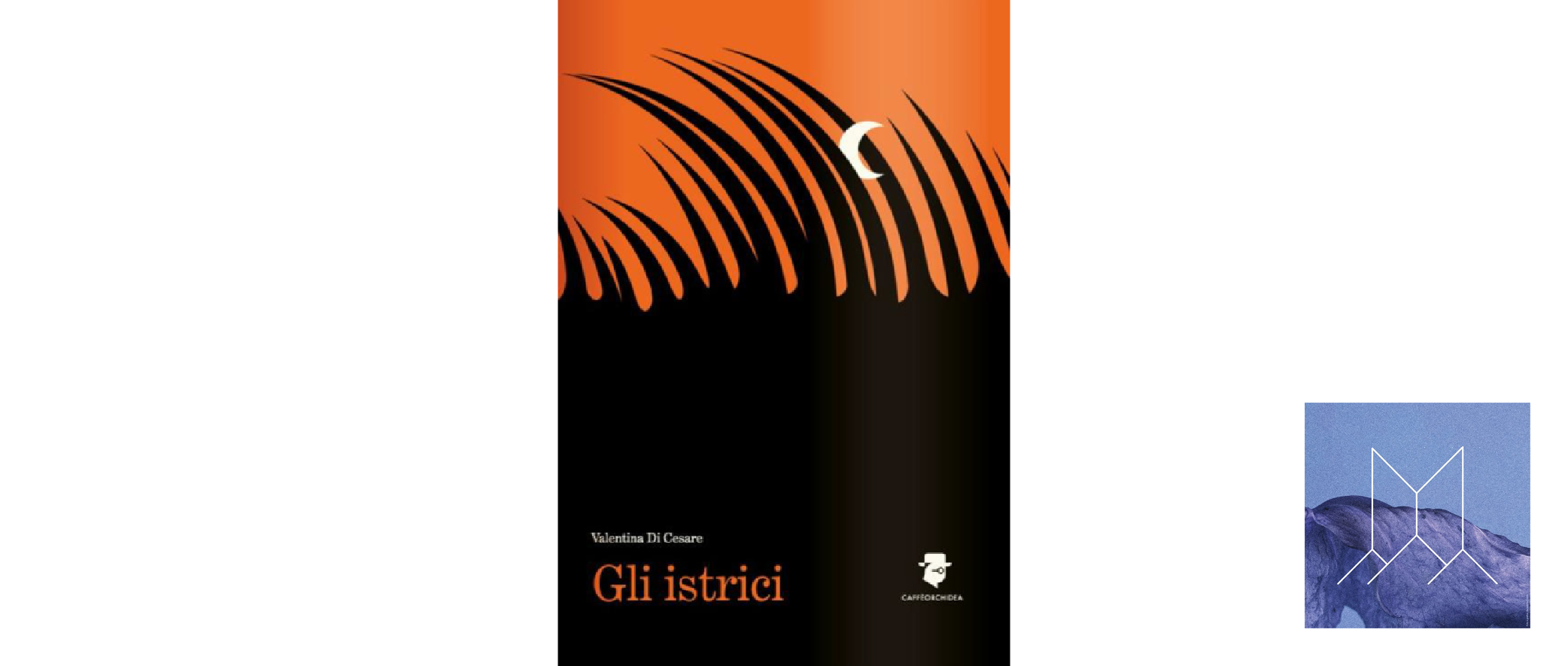 La copertina del libro 'Gli istrici' di Valentina Di Cesare. Il design è astratto e diviso orizzontalmente in due sezioni nette: la metà superiore è di un arancione brillante e caldo, mentre quella inferiore è di un nero solido. Dalla sezione nera si innalzano forme nere verticali e frastagliate che raggiungono l'area arancione, ricordando erba alta o aculei di istrice. Una piccola luna crescente bianca è posizionata nella parte superiore arancione. Il logo dell'editore (Cameranchora) è in basso a destra sulla copertina. A destra della copertina, nell'angolo in basso, è presente il piccolo logo quadrato con la 'M' stilizzata su sfondo montano.
