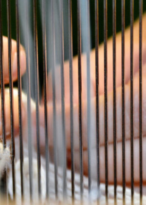 Primo piano delle mani di una persona, parzialmente sfocate e visibili tra una fitta serie di fili verticali e sottili, probabilmente l'ordito di un telaio. Le dita sembrano impegnate nel delicato processo di tessitura o nella preparazione dei fili, guidandoli attraverso il meccanismo del telaio. L'illuminazione calda e lo sfondo sfocato mettono in risalto l'azione manuale e la trama intricata dei fili.